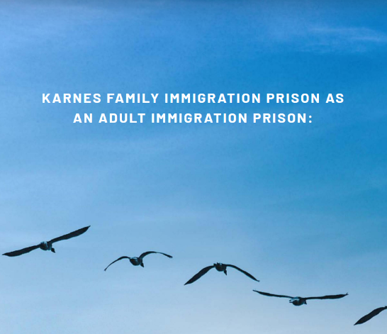 An image of the sky with flying birds.